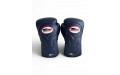 Боксерские перчатки Twins Special BGVL6 Navy/Navy 10 oz