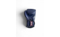 Боксерские перчатки Twins Special BGVL6 Navy/Navy 10 oz