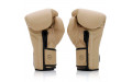 Боксерские перчатки Fairtex BGV25 F-DaY2 12 oz