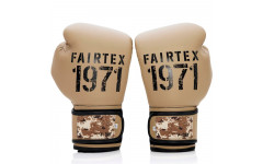 Боксерские перчатки Fairtex BGV25 F-DaY2 14 oz