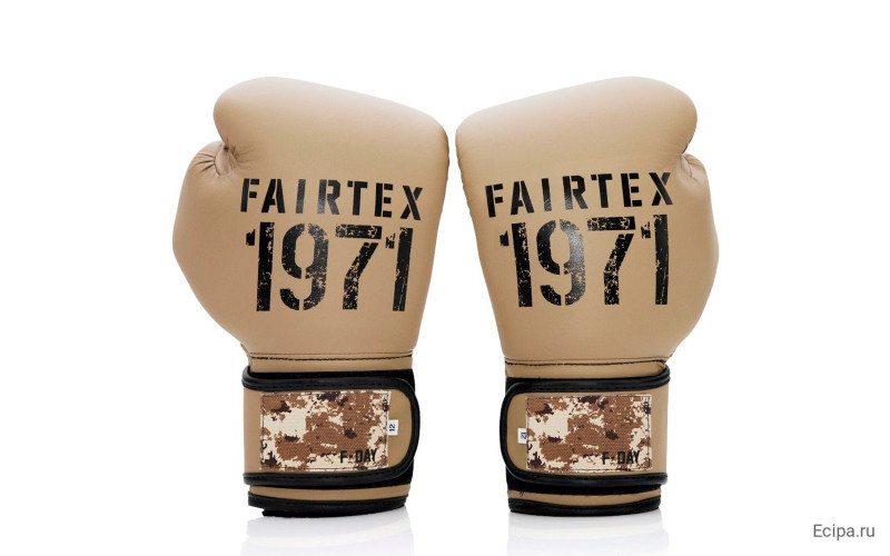 Боксерские перчатки Fairtex BGV25 F-DaY2 14 oz