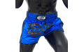 Шорты для бокса Fairtex BS1702 (синий) M