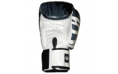 Боксерские перчатки FBGVL3-TW5 black white 10 oz