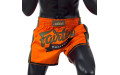 Шорты для бокса Fairtex BS1705 (оранжевый) L