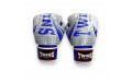 Боксёрские перчатки FBGVL3-TW5 white blue 14 oz